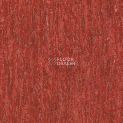 Линолеум Tarkett iq Optima Red 0259 фото 1 | FLOORDEALER